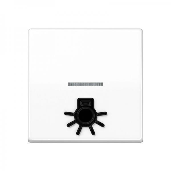 Jung Wippe 1fach mit Lichtleiter, mit abtastbarem Symbol "Licht", Duroplast antibakteriell, Serie AS, alpinweiß ABAS591L1KO5WW