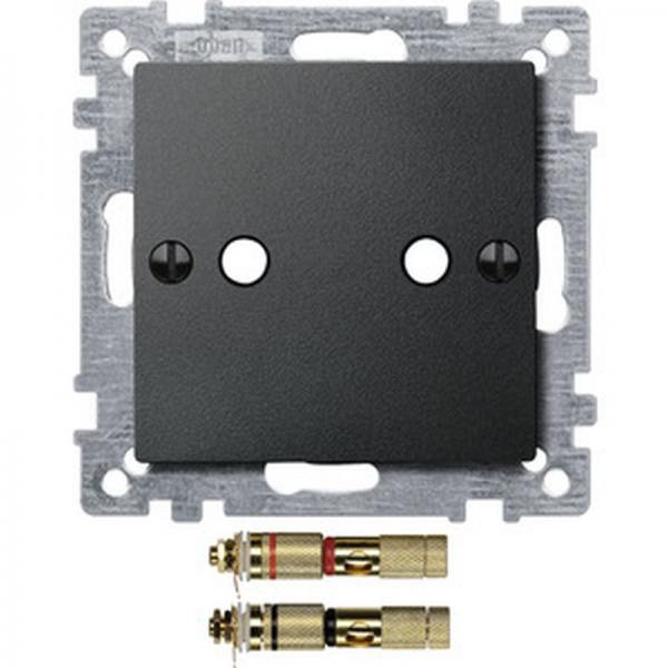 Merten Zentralplatte mit High-End Lautsprecher-Steckverbinder, anthrazit, System M 469314
