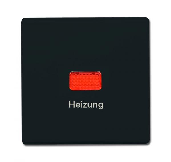 B+J allwetter Wippen Abdeckung für Heizung-Notschalter anthrazit 2102 H-35