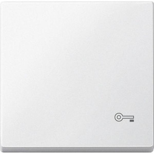 Merten System M Wippe+Symbol SchlŸssel polarwei§ matt MEG3303-0419