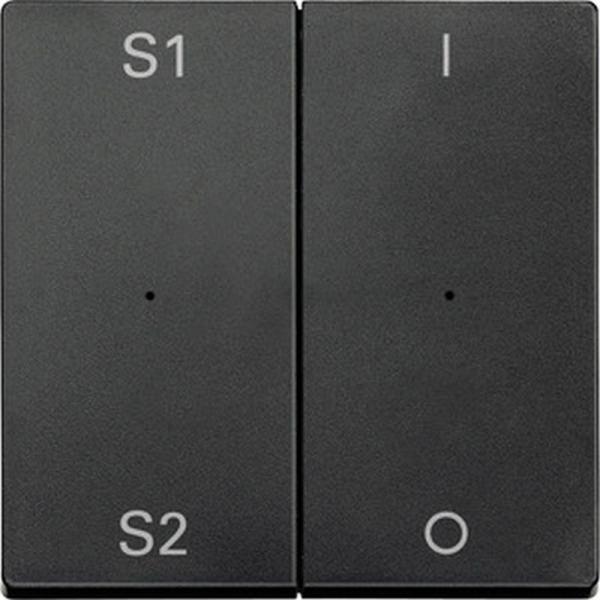 Merten Wippen fŸr Taster-Modul 2fach (Szene1/2, 1/0), anthrazit, System M MEG5228-0414