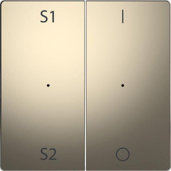 Merten Wippen fŸr Taster-Modul 2fach (Szene1/2, 1/0), Nickelmetallic, System Design MEG5228-6050