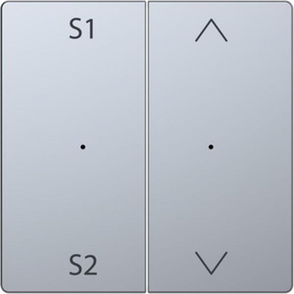 Merten Wippen fŸr Taster-Modul 2fach (Szene1/2, Auf/Ab), Edelstahl, System Design MEG5227-6036