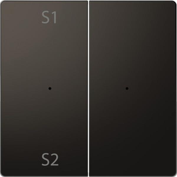 Merten Wippen fŸr Taster-Modul 2fach (Szene1/2, blank), Anthrazit, System Design MEG5226-6034
