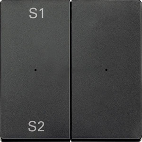 Merten Wippen fŸr Taster-Modul 2fach (Szene1/2, blank), anthrazit, System M MEG5226-0414