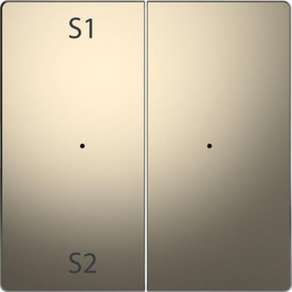 Merten Wippen fŸr Taster-Modul 2fach (Szene1/2, blank), Nickelmetallic, System Design MEG5226-6050