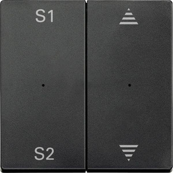 Merten Wippen fŸr Taster-Modul 2fach (Szene1/2, Pfeile Auf/Ab), anthrazit, System M MEG5227-0414
