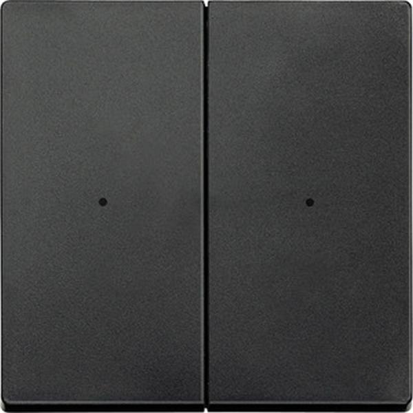 Merten Wippen fŸr Taster-Modul 2fach, anthrazit, System M MEG5220-0414