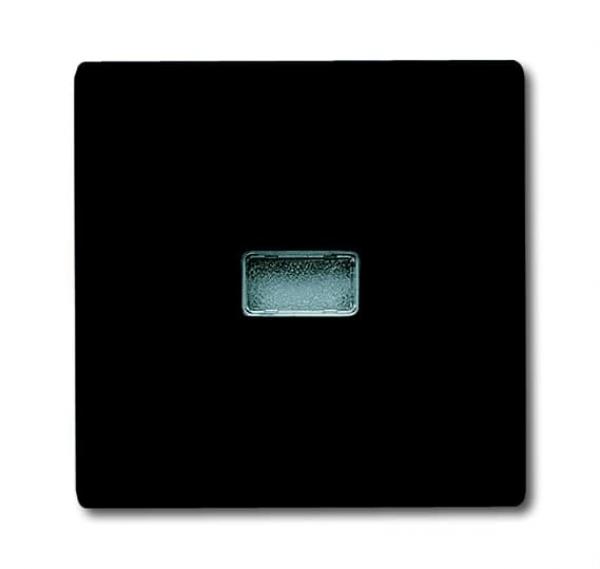 B+J allwetter Wippen Abdeckung für Kontroll-Wechselschalter anthrazit 2107-35