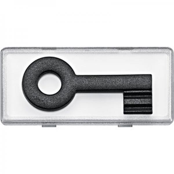 Merten Gro§es Schriftfeld mit tastbaren Kontrast-Symbol fŸr Wippen und Steckdosen mit Schriftfeld, SchlŸssel,klar 434792