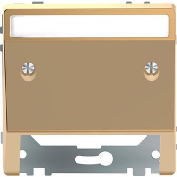 Merten Schr_gauslass mit Schriftfeld, Champagnermetallic, System Design MEG4540-6051