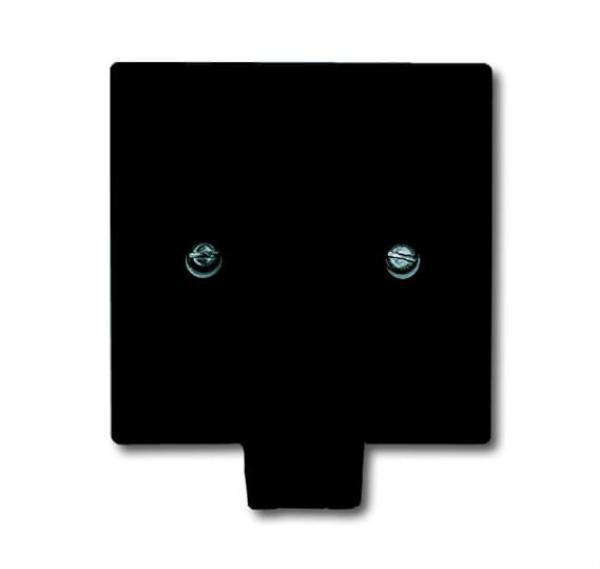 B+J allwetter Abdeckung für Leitungsauslass anthrazit 2133-35