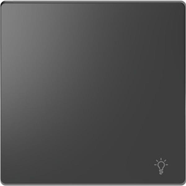 Merten Wippe mit Kennzeichnung Licht, Anthrazit, System Design MEG3302-6034