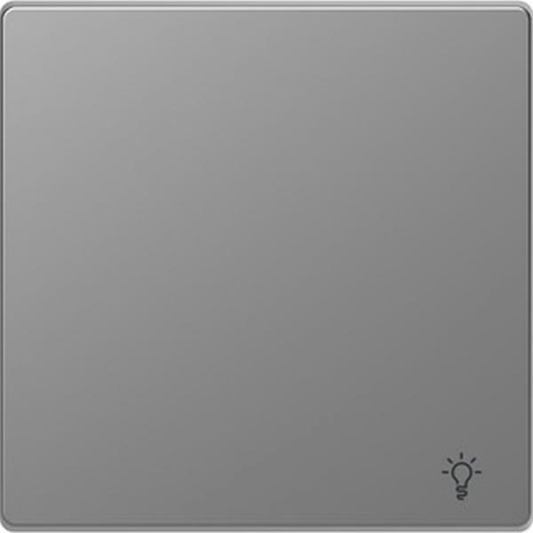 Merten Wippe mit Kennzeichnung Licht, Edelstahl, System Design MEG3302-6036