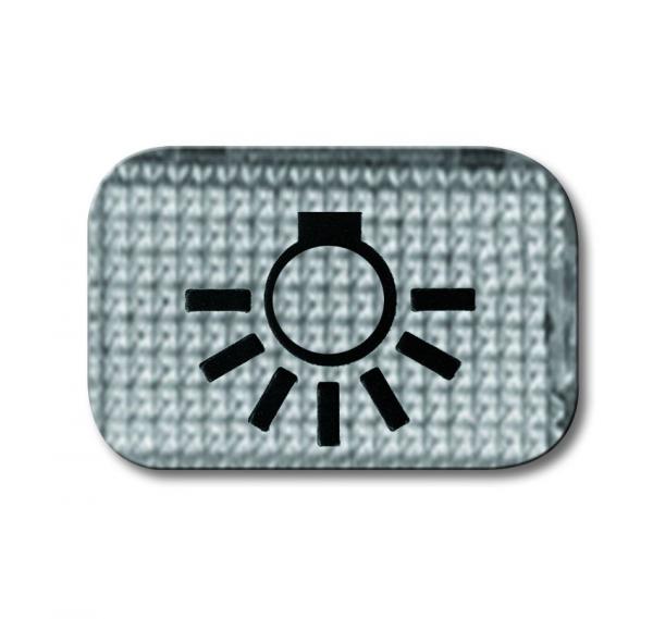 B+J Tastersymbol Licht, glasklar 2145 LI