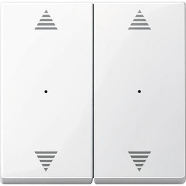 Merten Wippen fŸr Tastermodul 2fach mit Aufdrucken Auf/Ab, polarwei§ gl_nzend, System M 619719