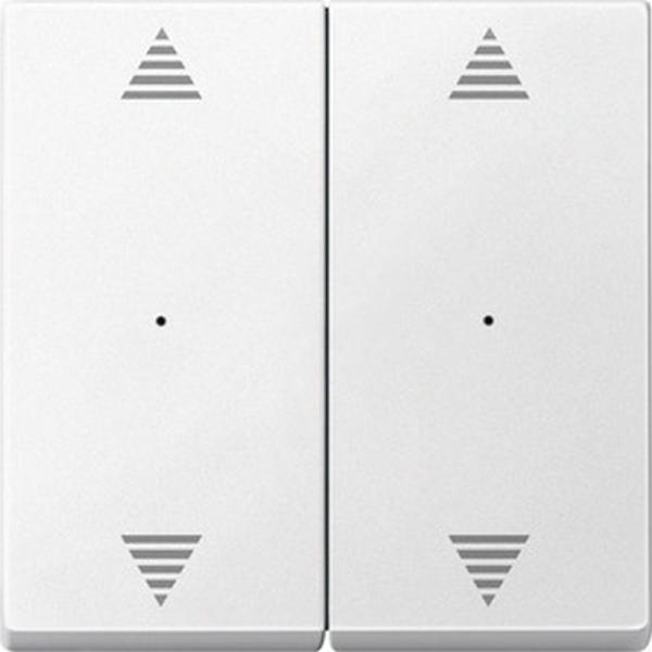 Merten Wippen fŸr Tastermodul 2fach mit Aufdrucken Pfeile Auf/Ab, polarwei§, System M 625819