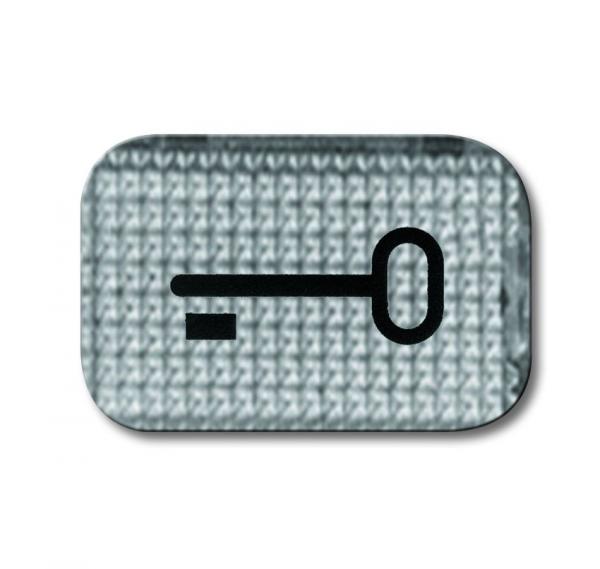 B+J Tastersymbol SchlŸssel, glasklar 2145 TR