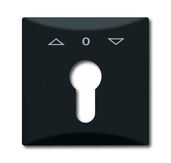 B+J allwetter Abdeckung für Profilhalbzylinder anthrazit 2155 PZ-35