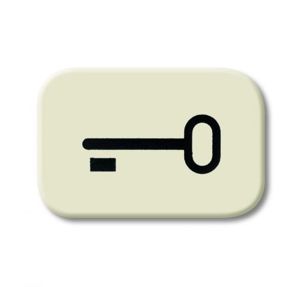 B+J Busch-Duro 2000¨ SI, Tastersymbol SchlŸssel, wei§ 2525 TR