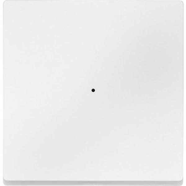 Merten Wippe fŸr Taster-Modul 1fach, polarwei§, System M MEG5210-0419