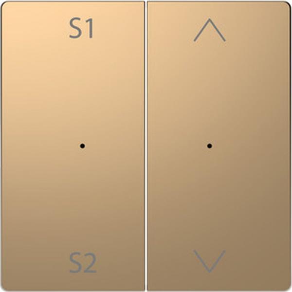 Merten Wippen f. Taster-Modul 2f. (Szene1/2, Auf/Ab), Champagnermetallic, Sys. Design MEG5227-6051