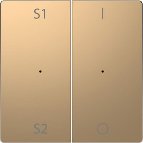 Merten Wippen f. Taster-Modul 2fach (Szene1/2, 1/0), Champagnermetallic, System Design MEG5228-6051