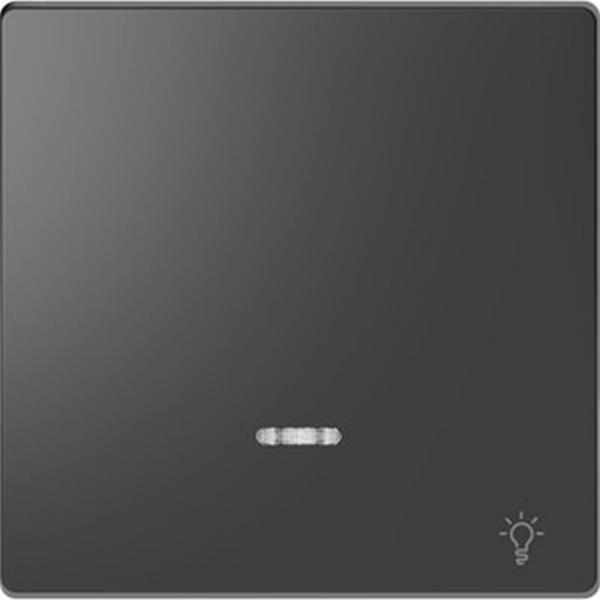 Merten Wippe mit Kontrollfenster und Aufdruck Licht, Anthrazit, System Design MEG3322-6034