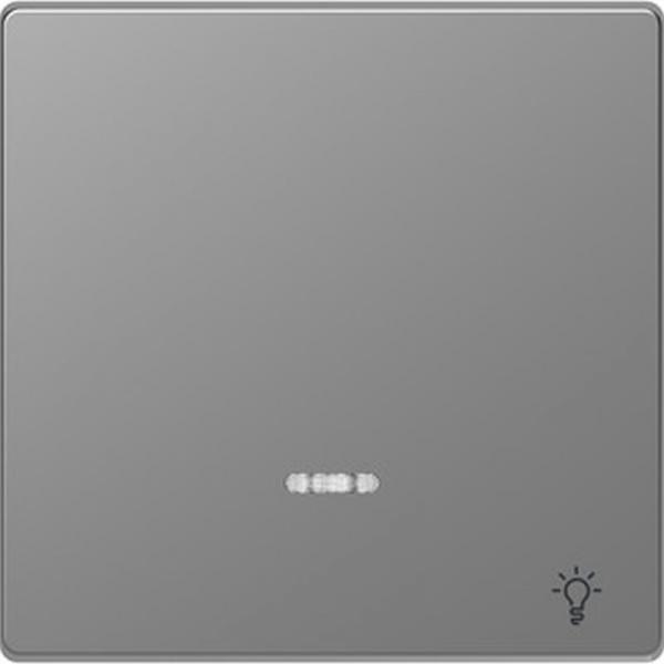 Merten Wippe mit Kontrollfenster und Aufdruck Licht, Edelstahl, System Design MEG3322-6036