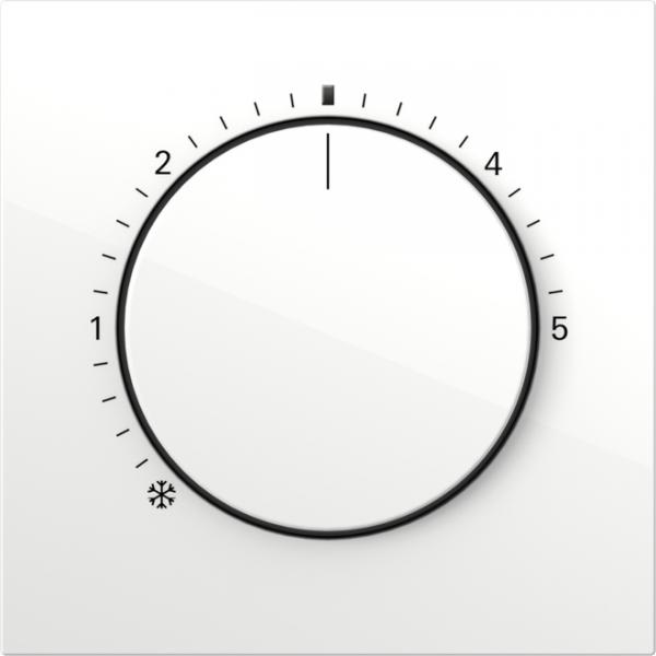 Gira Abd. RTR Kontroll Flächenschalter 2702112