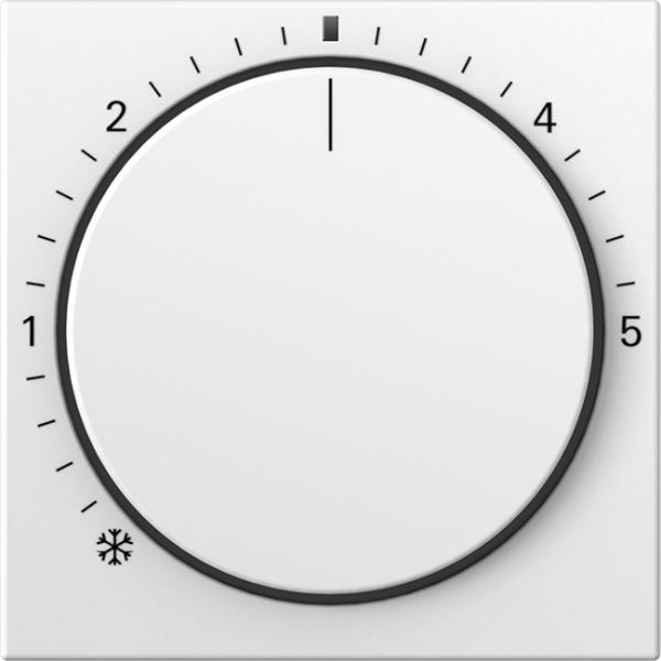 Gira Abd. RTR Kontroll System 55 Reinweiß m 270227