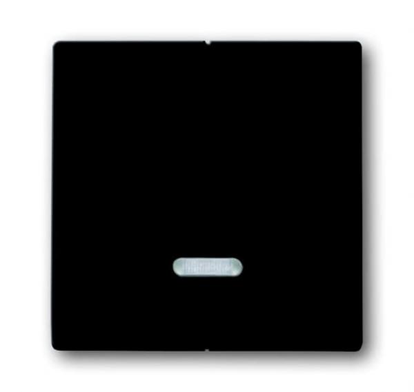 B+J carat®, Bedienelement für Seriendimmer, anthrazit 6545-81