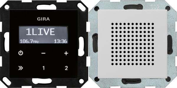 Gira UP-Radio RDS Lautsprecher System 55 Grau m 2280015