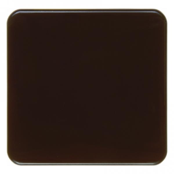 Berker Wippe wg Up IP44  braun 155001