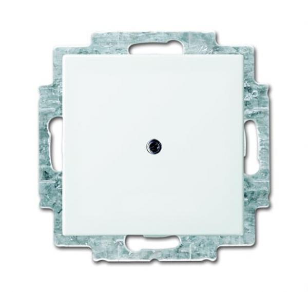 B+J balance SI Blindzentralscheibe alpinweiss 2538-914