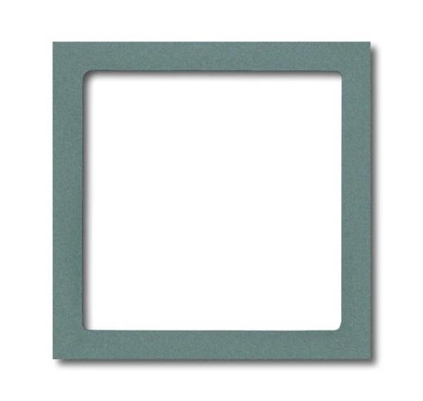 B+J Zentralscheibe, graumetallic, solo, Abdeckungen fuer LED-Licht 1716-803