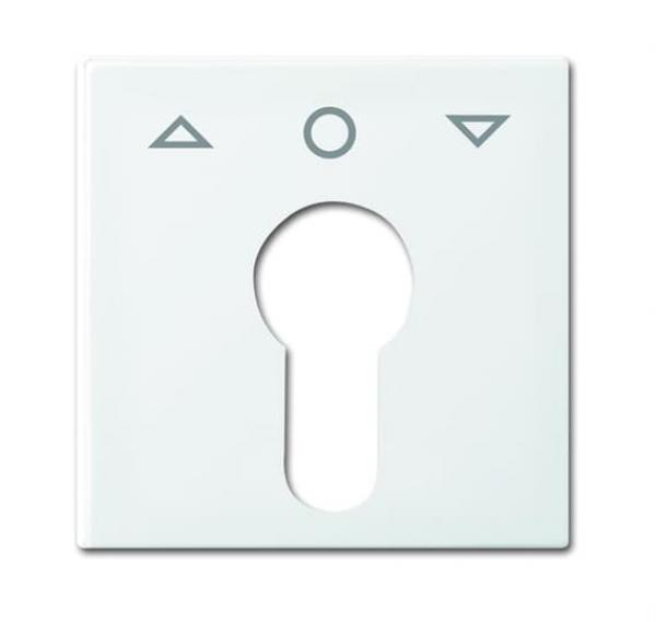 B+J balance SI Abdeckungen SchlŸsselschalterJalousiesteuerung alpinweiss 2557 PZ-914-101