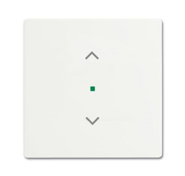 B+J Wippe, studioweiss matt, Busch-free@home, Abdeckungen future linear 6232-10-884