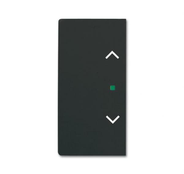 B+J Wippe, schwarz matt, Busch-free@home, Abdeckungen future linear 6232-20-885