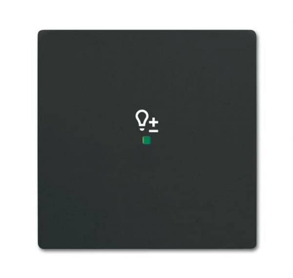 B+J Wippe, schwarz matt, Busch-free@home, Abdeckungen future linear 6234-10-885