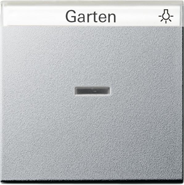 Gira System 55 Wippe Kontroll BSF Alu 067026