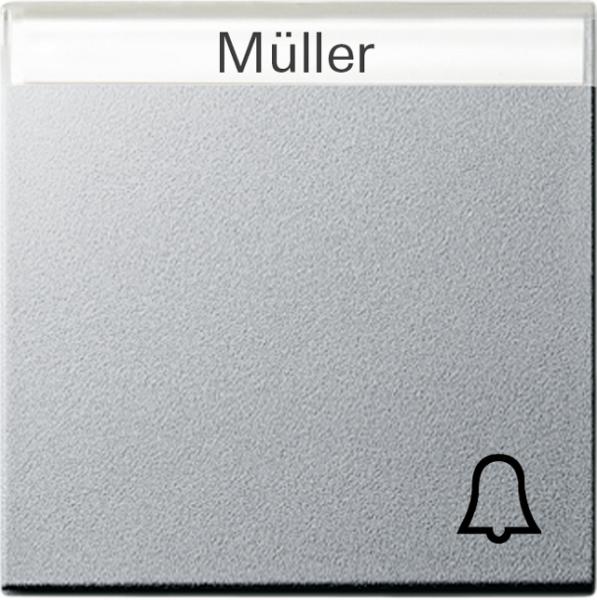 Gira System 55 Wippe Symbol Klingel BSF Alu 067326