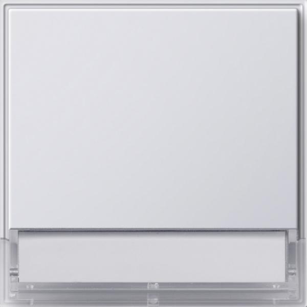 Gira Wippe BSF gross Gira TX_44 (WG UP) Reinweiss 067666