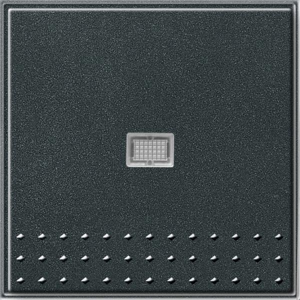 Gira Tastschalter Kontroll Wechsel Gira TX_44 (WG UP) Anthrazit 013667