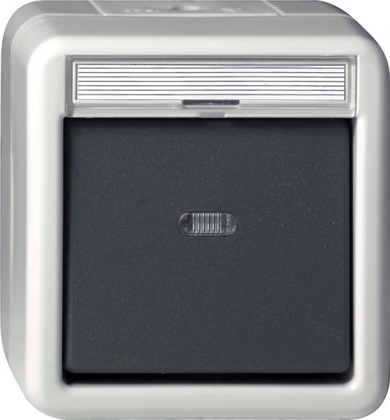 Gira IP44 WG Wipptaster WechslerAufputz Grau 015630