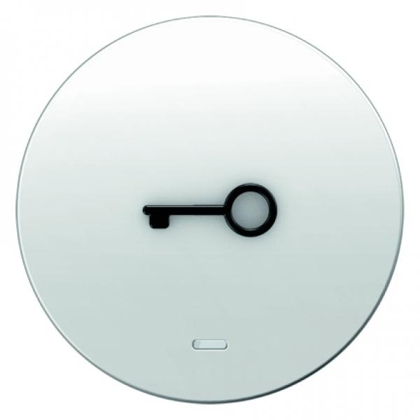 Berker Wippe mit klarer Linse und abtastbarem Symbol Tuer polarweiss, glaenzend Berker R.1 16512069