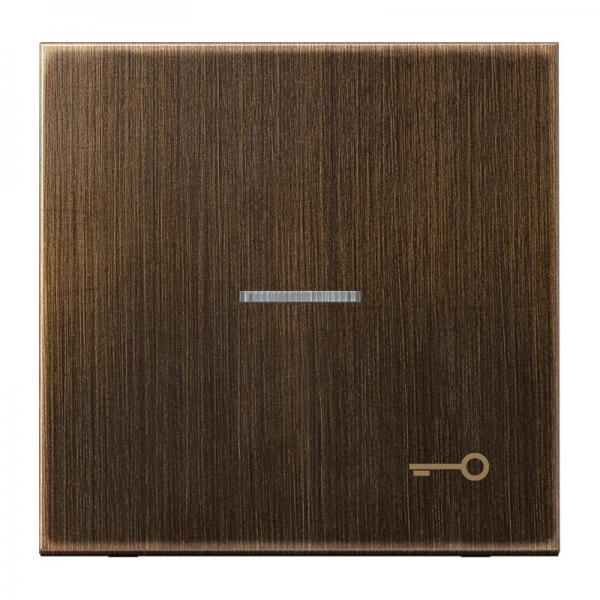 JUNG Wippe, Symbol Tuer, Linse, Lichtleiter, fuer beleuchtbare Taster ME2990KO5TAT