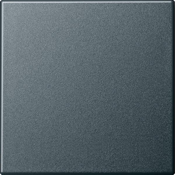 Gira System 55 Wippe Anthrazit 029628