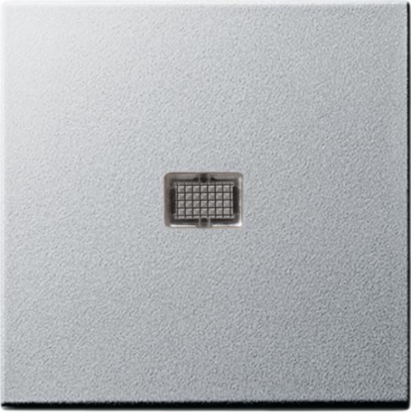 Gira System 55 Kontroll-Wippe Farbe Alu 029826