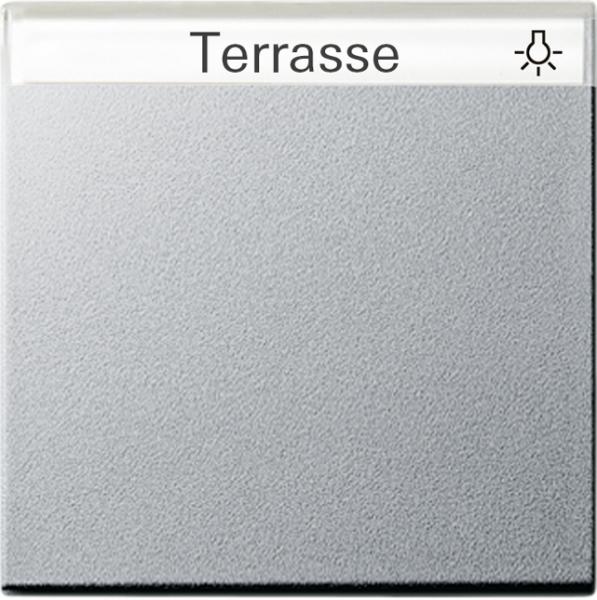 Gira System 55 Wippe mit Beschriftungsfeld Farbe Alu 029926